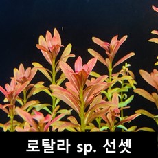 cccbe83a4a57ca54b2c204e790f20fe346b5e14d407fa779c4d91dbdcd41.jpg