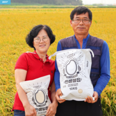 신동진 백미 햅쌀 4kg 10kg 20kg 30kg 40kg 단일품종 전북 김제쌀 맛있는 쌀 추천 인생쌀집, 1개