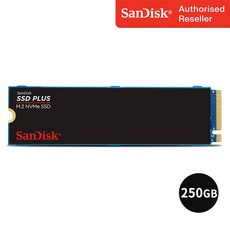 샌디스크 Plus M.2 NVMe SSD 2280 Gen3 노트북 PC 메모리 SSDA3N, 250GB
