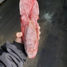 캐나다 자숙랍스터 1마리(450g), 1개