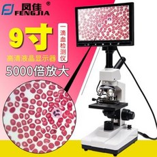 혈관현미경
