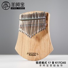 디지털 집순이 취미생활 듀얼 칼림바, 도마뱀붙이 K17CAS 플레이트