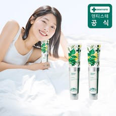 덴티스테 시트러스 후레쉬 200g x 2개, 단일속성