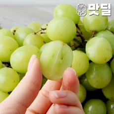 까로망청포도자몽레몬복숭아파인애플체리2kg