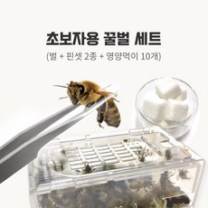e6932a96fa92f5478911a7dc9d943fd3b899bd61b51b5d8241c7acc9b9e0.jpg