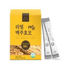 웰빙곳간 리얼 맥주효모 분말 4g 30포, 120g, 1개 - 맥주효모추출물