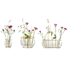 프리츠한센화병