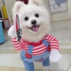 할로윈 처키 반려동물 강아지 고양이 패션 옷, 1개, 상세페이지 참조