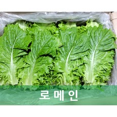 꽃상추4kg
