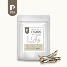 펫파더열빙어