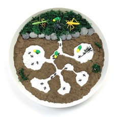 빌랑 개미 스몰월드 놀이키트 - 모형 어린이 모래 동물학습 엄마표놀이 곤충관찰 놀이트레이, 혼합색상