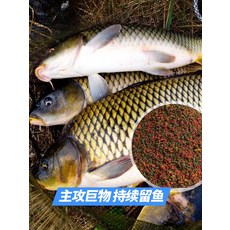 a9f56346f09d86910f8d2486d1e20e6b1e3f52bb35f4bdec2f241a4b6180.jpg