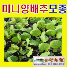 방울컬렉션