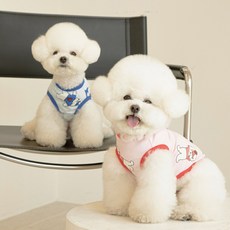 떼아몽