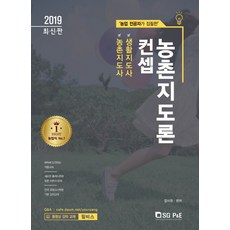 전략적농촌지도론