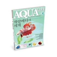 아쿠아라이프 2015년 4월호 [베타], 단품