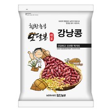붉은강낭콩