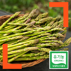 파머스넷 해남 산지직송 유기농 생 아스파라거스, 혼합형 1kg, 1개