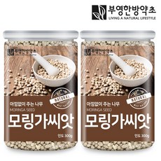 부영한방약초 모링가씨앗 속씨 300g 인도산, 2개