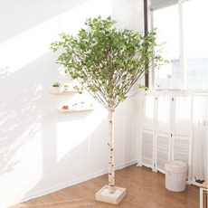 자작나무껍질공예