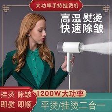 cas스팀다리미
