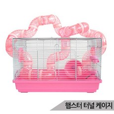 햄스터s