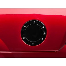 머스탱오버휀다