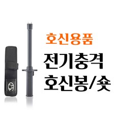 호신용전기충격기