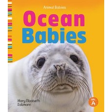 (영문도서) Ocean Babies Library Binding, SandCastle, English, 9781532119606
