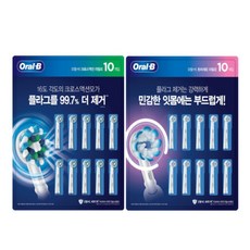 오랄비초미세모리필