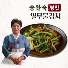 [쇼핑엔티] [송완숙명인] 입맛나는 열무물김치 1.5kg 외 국내산 김치