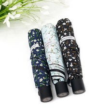 피에르가르뎅우양산