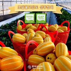 산지직송! 당도보장 프리미엄 로얄 정품 성주 꿀 참외, 1박스, 로얄중과 개별포장 2kg