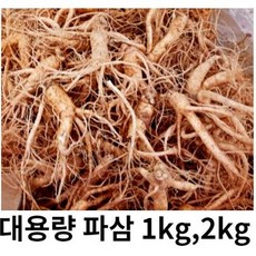 금산 인삼 파삼 5년근 세척 수삼 국내산 1kg 2kg 파삼 막삼 흠있는 못생긴 인삼 대용량, 1개, 세척원하지않아요(X)