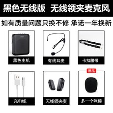 브리츠강사마이크