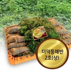 더덕파지