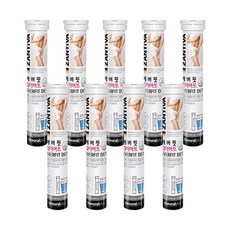 잔티시아z다이어트