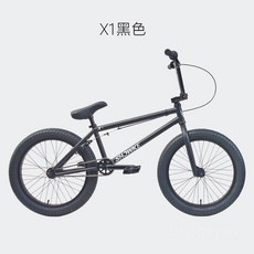 BMX자전거 20인치 퍼포먼스 묘기 자전거 입문용 18인치 bmx, 매트 블랙