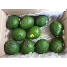 직수입 잘익는 아보카도 10과 중과 최상급 [원산지:수입산 별도표기] 아보카도 avocado, 170g 내외(10과), 1개