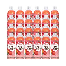 웰그린 스위츠 자두녹차 페트음료 500ml, 24개