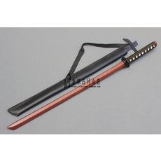 울릉도스킨스쿠버