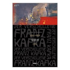 카프카실종자 TOP01