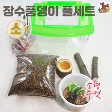 숲벌레 곤충포함 소R사육통 풀세트 장수풍뎅이키우기, 2번 소형수컷 포함 소R풀세트