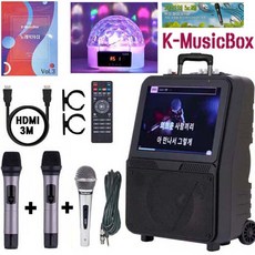 No1 케이뮤직박스 가정용 노래방기계 효도선물 6종 AV-1000 무선마이크2개 2만여곡 OTT앱 연동가능 매장 앰프 스피커 반주기, 무선마이크 2개용