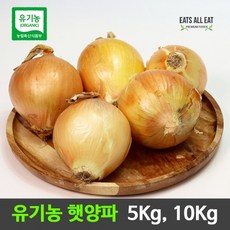 유기농양파5kg