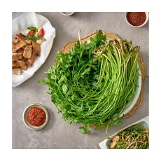 제철수확 노안미나리 500g, ONE COLOR, ONE SIZE
