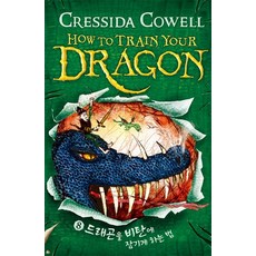 드래곤길들이기아트북