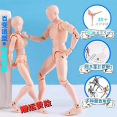 애니메이션인체구도