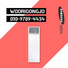 삼성 스탠드 에어컨 매장용 인버터 시스템 에어컨 30평 냉방기 (AP110CSPDBC1)
