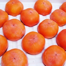 덕산리솜리조트